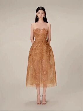 Copper Lace Sheer Panel Midi Dress